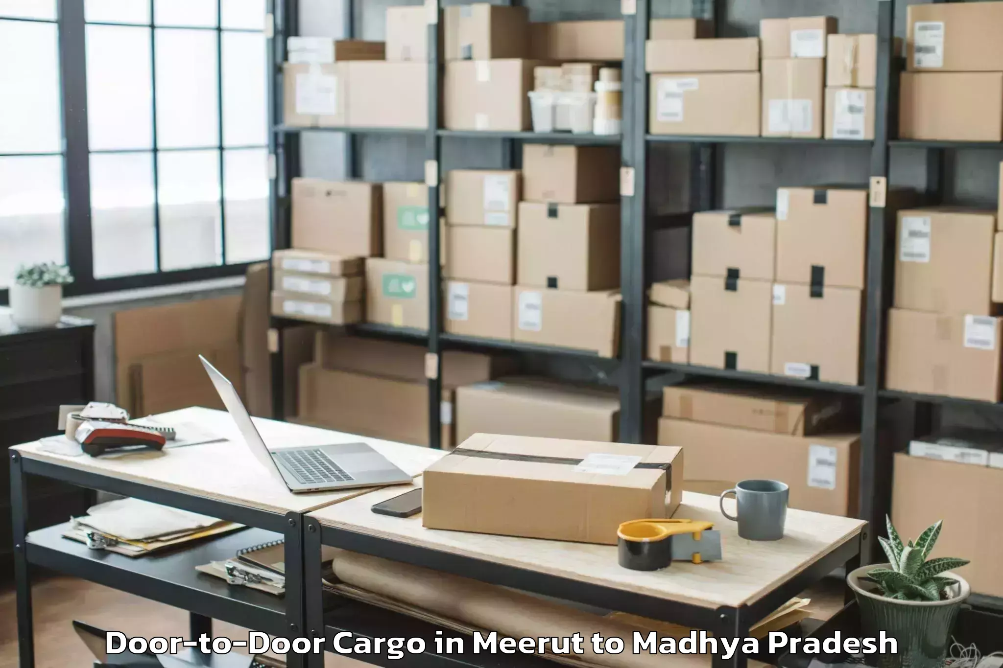 Top Meerut to Narsinghpur Door To Door Cargo Available